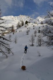 falsopiano sul tracciato del sentiero estivo