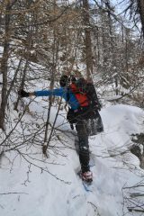 ravanamenti nel bosco