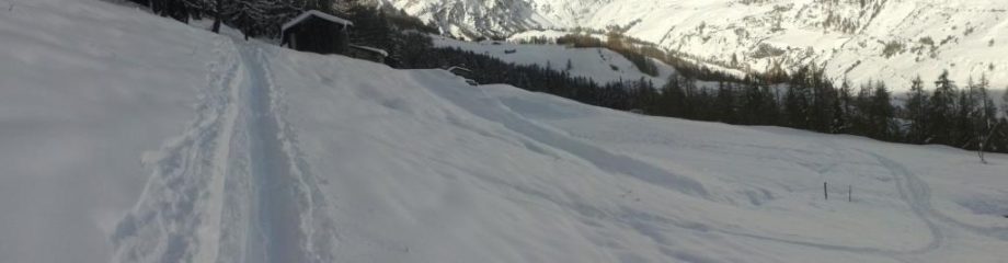 in salita su bella traccia verso l'arrivo della funivia...