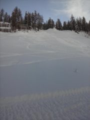 in discesa sulla n. 3  ,neve intonsa e pochi passaggi....