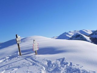 Neve immacolata
