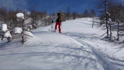 Quasi in cima