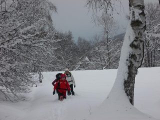 la neve aumenta