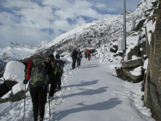 Traverso pianeggiante su strada carraia, verso S.Anna