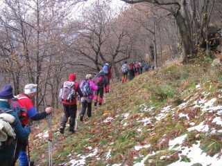 Comitiva in cammino ad inizio sentiero
