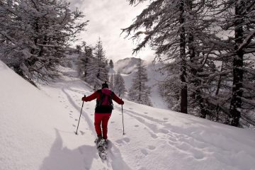 sulla stradina di collegamento tra gli impianti, un centinaio di metri sotto la punta Selletta, compare il sole