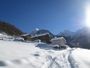 bella radura