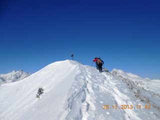 quasi in cima