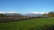 verso nord dai vigneti di Azeglio
