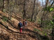 Scendendo nel bosco verso Pont