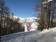 sopra Pattemouche