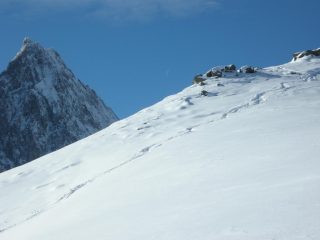 in alto quasi immacolato