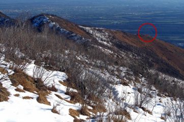 La dorsale di salita,oltre i tralicci si pesta neve fino al Rosselli
