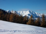 Bisalta