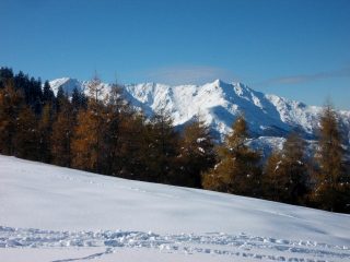 Bisalta