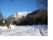 La punta di Costafiorita dal colle della Bassa..