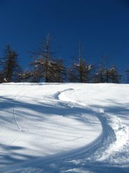 in basso neve umida ma ancora divertente