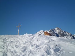 Pala Brusà