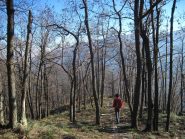 Scendendo nel bosco sotto Sant'Ignazio