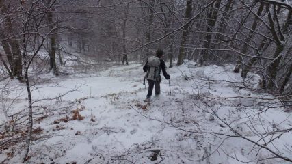 in discesa verso Tirolo Sup.