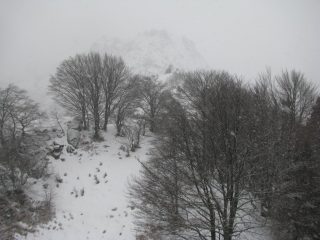 Dalla Punta di Pian d'Alars, panorama verso l'Alantur nella nebbia
