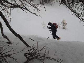 la neve si infittisce