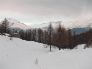 condizioni