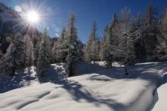 Al tiepido sole