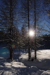 Rientro dal bosco
