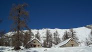 Alpe Campo