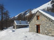 alpe campo