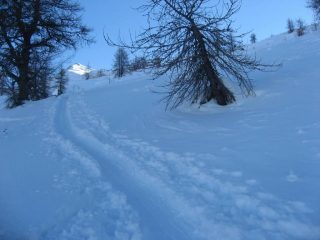 salendo al colle, la Ciantiplania al sole
