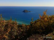 L'Isola Gallinara