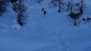 Farina a Nord  