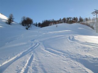 divertimento iniziato e garantito