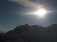dalla punta