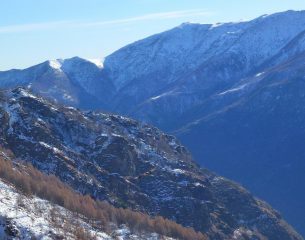 l'Aquila passa silenziosa,veloce e mimetizzata.