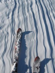 un tipo di neve.....