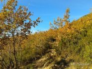 Verso la sella del Bignone