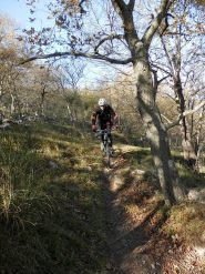 Giorgio in azione
