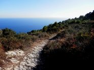salti nel blu