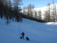 verso l'uscita dal bosco