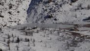 Lago Vernoille