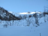 Vallone terminale