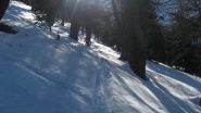 bella neve nel bosco