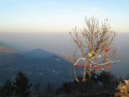 albero di Natale sulla cima del Baron