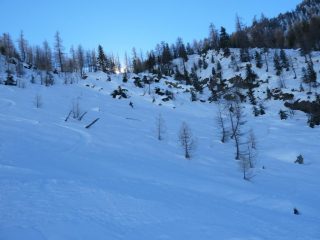 Farina 5