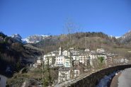 Ornica