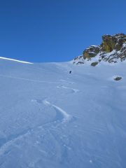farina