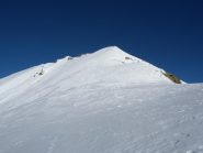 vetta
